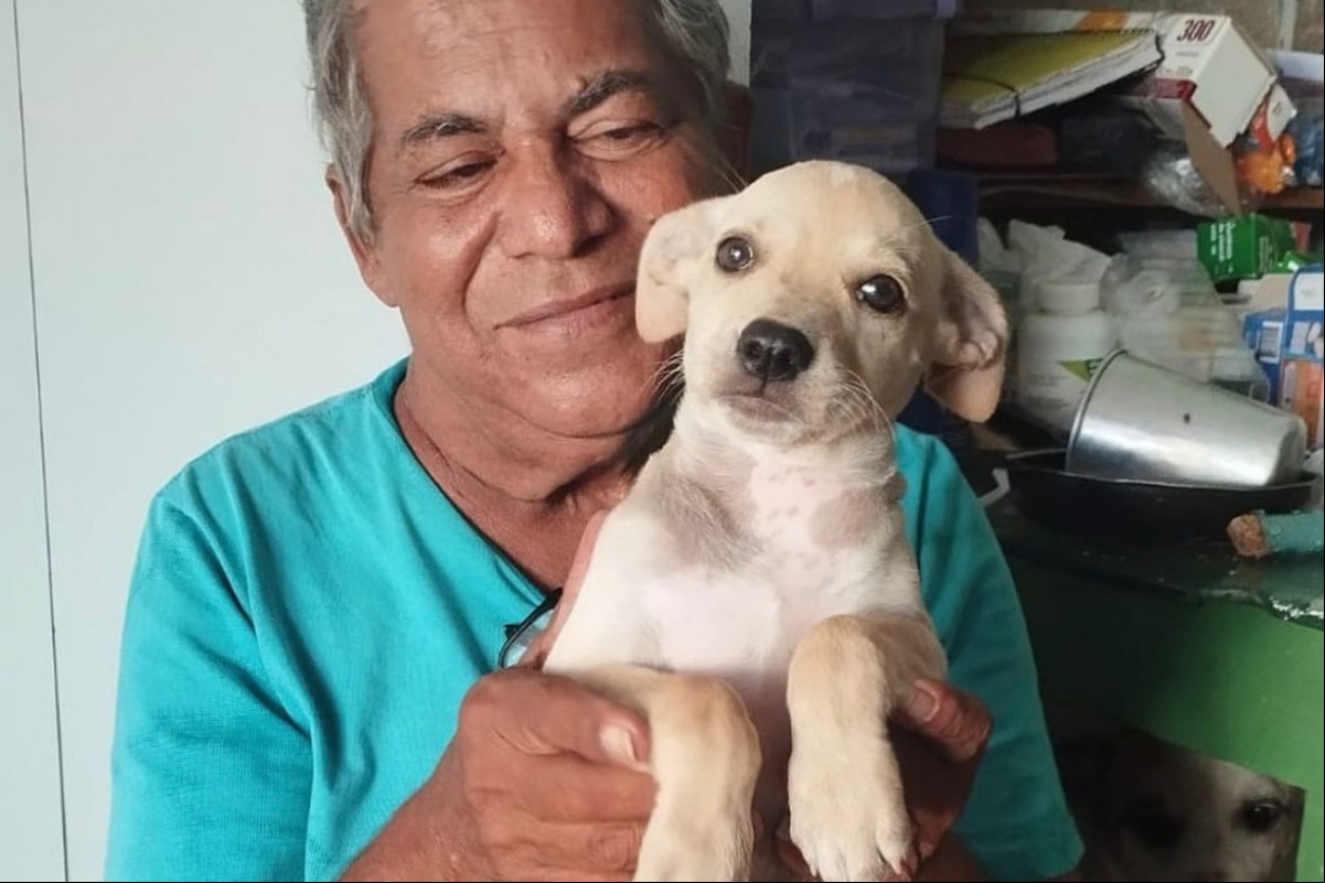 Mais de 500 animais já aram pelo abrigo (Foto: Reprodução/Instagram) Mais de 500 animais já aram pelo abrigo/Foto: Reprodução/Instagram